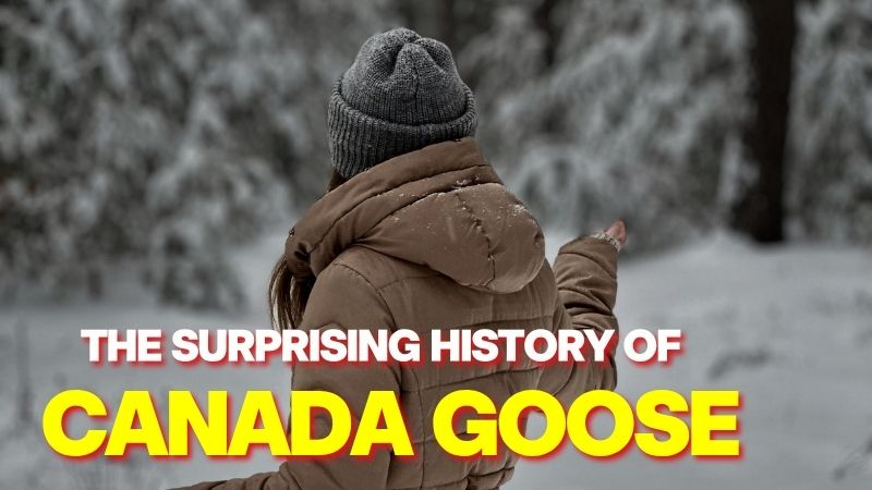 A person wearing a water parka in the snow, illustrating the Canada Goose history from Antarctica to luxury fashion.